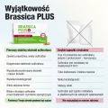 Wyjątkowość Brassica PLUS – porównanie_nowoczesnysport.png