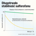 Wykres stabilności sulforafanu_nowoczesnysport.png