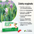 Zalety oryginału – kurkuma i biodostępność_nowoczesnysport.png